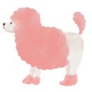 이레음악학원 이미지