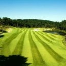 샌드파인 골프클럽 이미지