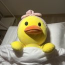 온누헤어