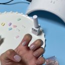 에듀윙즈 | 봄신상네일 디젤 미니볼드 버터플라이 넘모 이뿌잖아