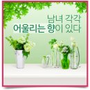 우디여성의원 이미지