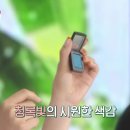 조이틴트