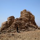 산호펜션 이미지