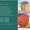 [漢詩 한 수] 중국 당나라 시인 백거이(白居易)의 '내 집 마련의 꿈' 이미지