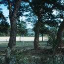 흥해서부초등학교 이미지