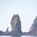 장고도6 이미지