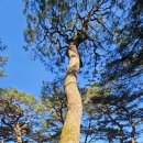 고창읍성한옥마을 이미지