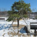 춘양양묘사업소 이미지