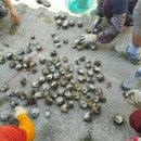 분수1리 이미지