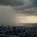 지혜의 소나기 이미지