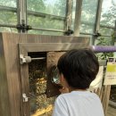실옥로 | 충남 아산 아기랑갈만한 곳 추천 생태곤충원 장영실과학관 자세한 꿀팁 관람 후기