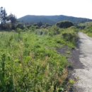 성읍리-1 이미지