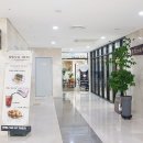올레코인노래연습장 이미지