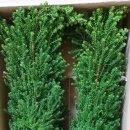 두봉농장 이미지