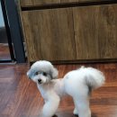 메종VIP203 이미지