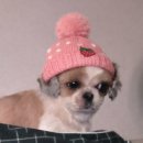 영희네쌈밥 | 이것저것 사고 상견례하고 버버리 트렁크쇼 다녀왔삼