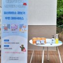 월출산국립공원 천황야영장 연합뉴스