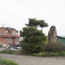 낙농목장 이미지