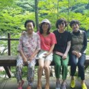 뱀사골산장민박 이미지