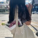 플레인베르