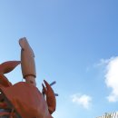 (유)삼일렌트카 이미지