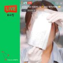 제주커머스 | 제주 대왕 은갈치 제주반했어 라이브커머스 후기 w. 백조기까지