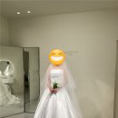 [공지] W10. 대구 드레스 투어 후기(웨딩모니크, 석미송, 임자경웨딩)_드레스투어 도안 공유