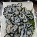 탐나종합어시장 안양비산점 이미지