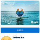 어드밴스드 머메이드 자격증 취득 후기 (in 딥스테이션)