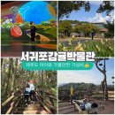 서귀포 감귤박물관 가성비 여행 끝판왕 미디어아트 월라봉산책