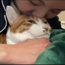 빨간코 이미지