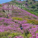 용추계곡 다리건너 공용 이동식화장실 | 보성 일림산 임도코스 아기랑 가족등산 용추계곡 들머리 철쭉 개화율 등산정보 주차 초보등산