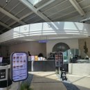 번패티번강릉 이미지