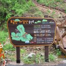 경기둘레길 여주32코스 이미지