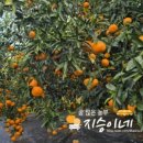 지승농장 이미지