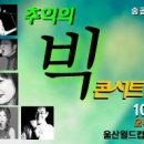 7080빅콘서트 Daum카페