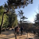 명동쫄면 이미지