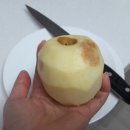 둥이네 농장 이미지