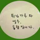 시금치 한 단으로 '세 가지 특선요리' 만들기 이미지