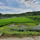 상록골프장 이미지