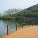 장성호 출렁다리(넘실정) 이미지