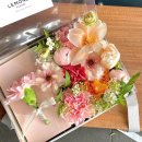 플레리르 이미지