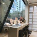 서공동물병원 | 분당 고양이 건강검진 동물병원 - 서공 동물병원 후기