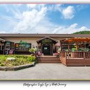 팬션나라 이미지