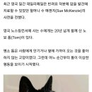 냥냥펀치 이미지