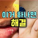 오래가노