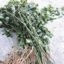 우슬농장 이미지