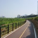 경춘선 자전거도로10 이미지