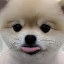 루앤오 이미지