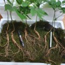 산양마을(주) 이미지